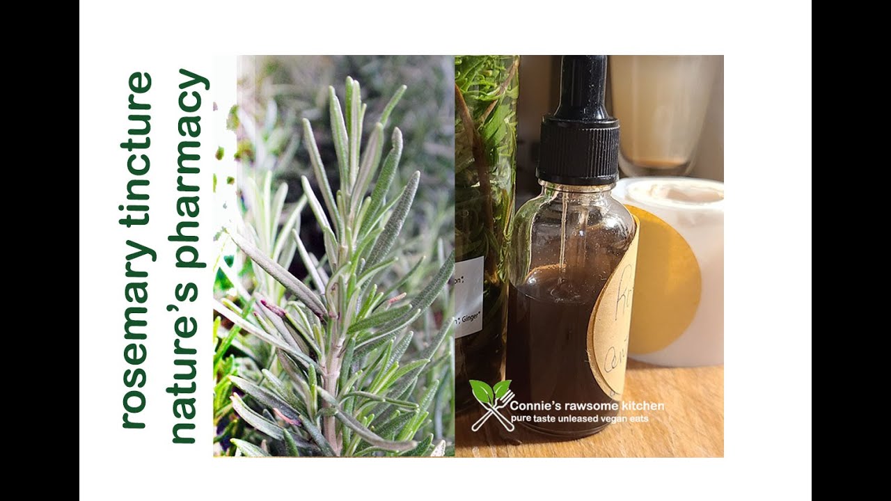 ROSEMARY TINCTURE NATURE'S ANTIBIOTIC GIFT VEGAN  | Connie's RAWsome kitchen
