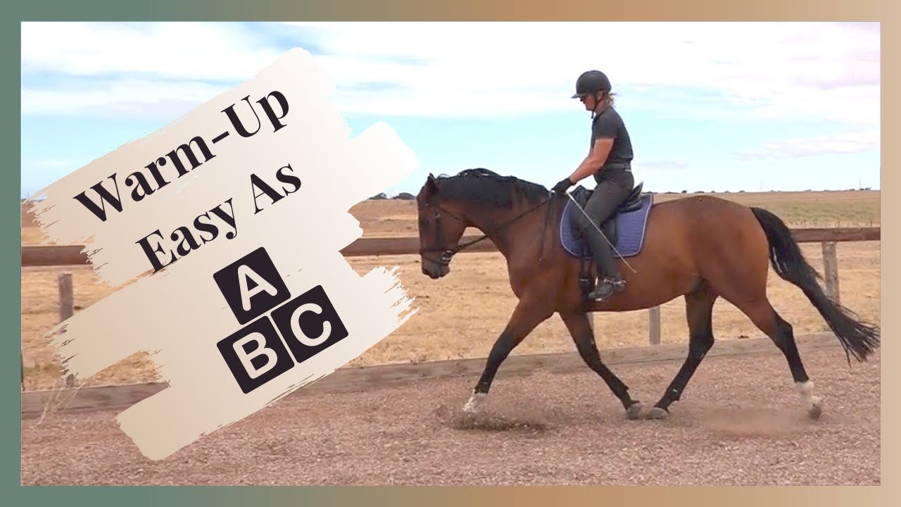 Training A Young Horse - Use Basic Building Blocks To Warm Up