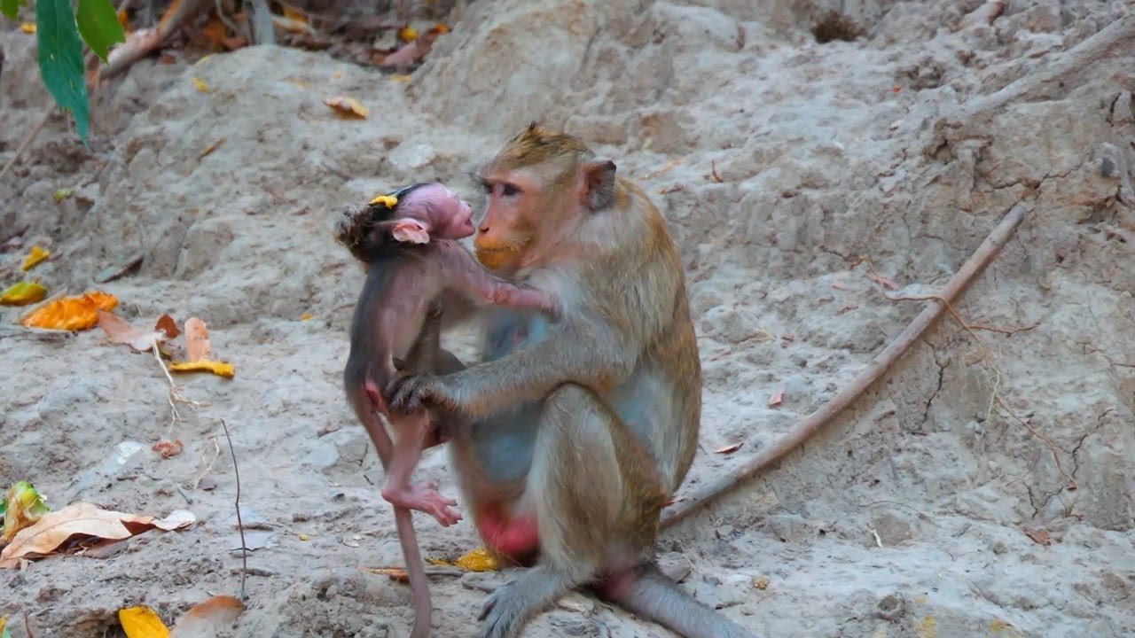 Unbelievable Story! Really refuse milk and put serious discipline on poor bab