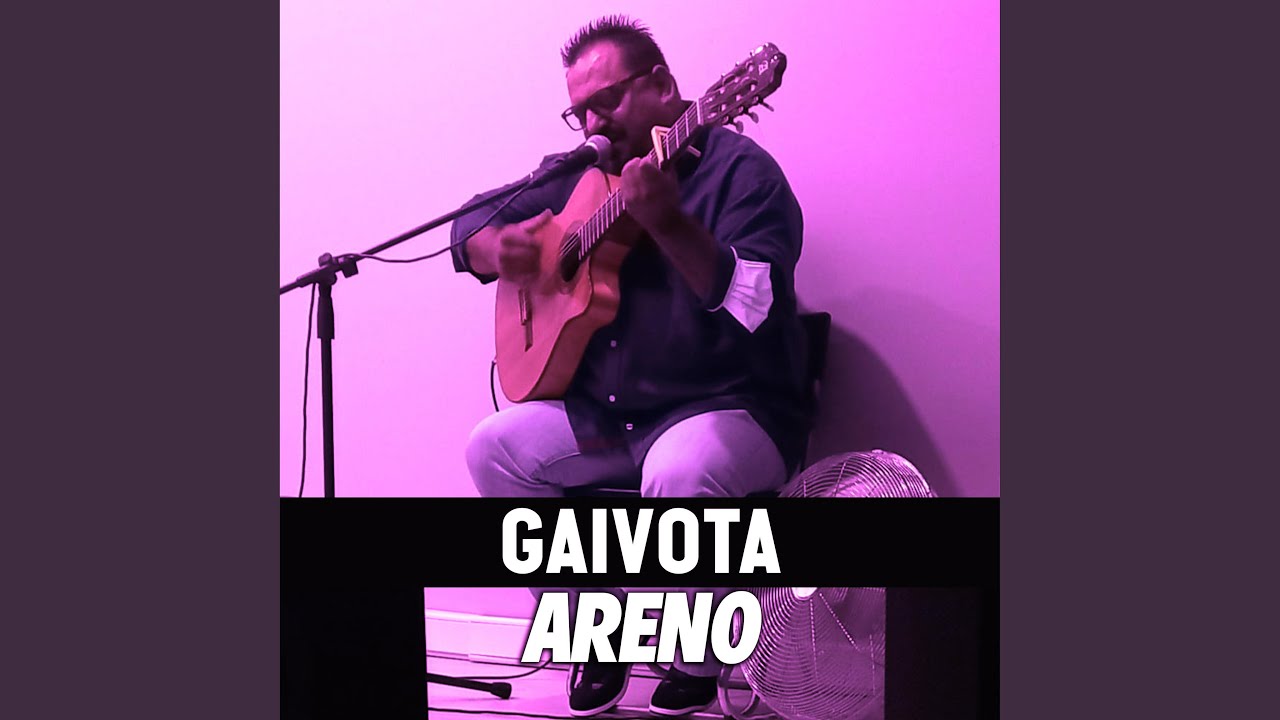 gaivota areno