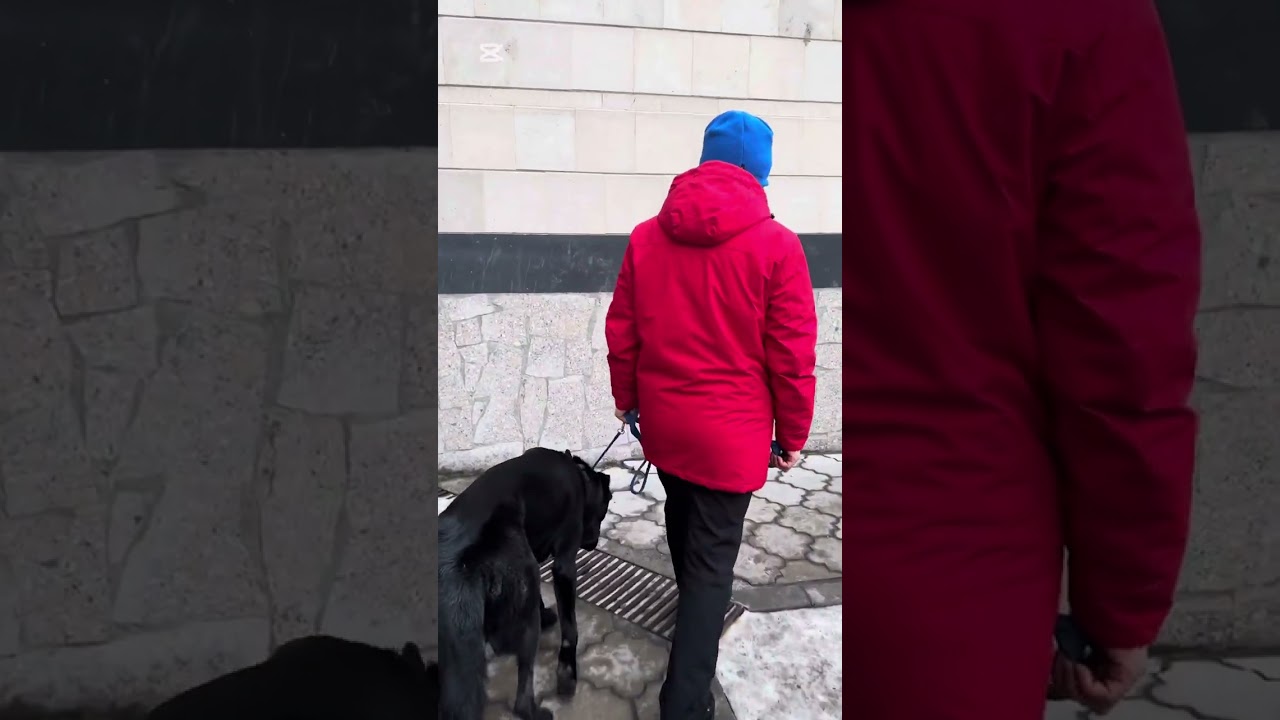 В Бишкеке.