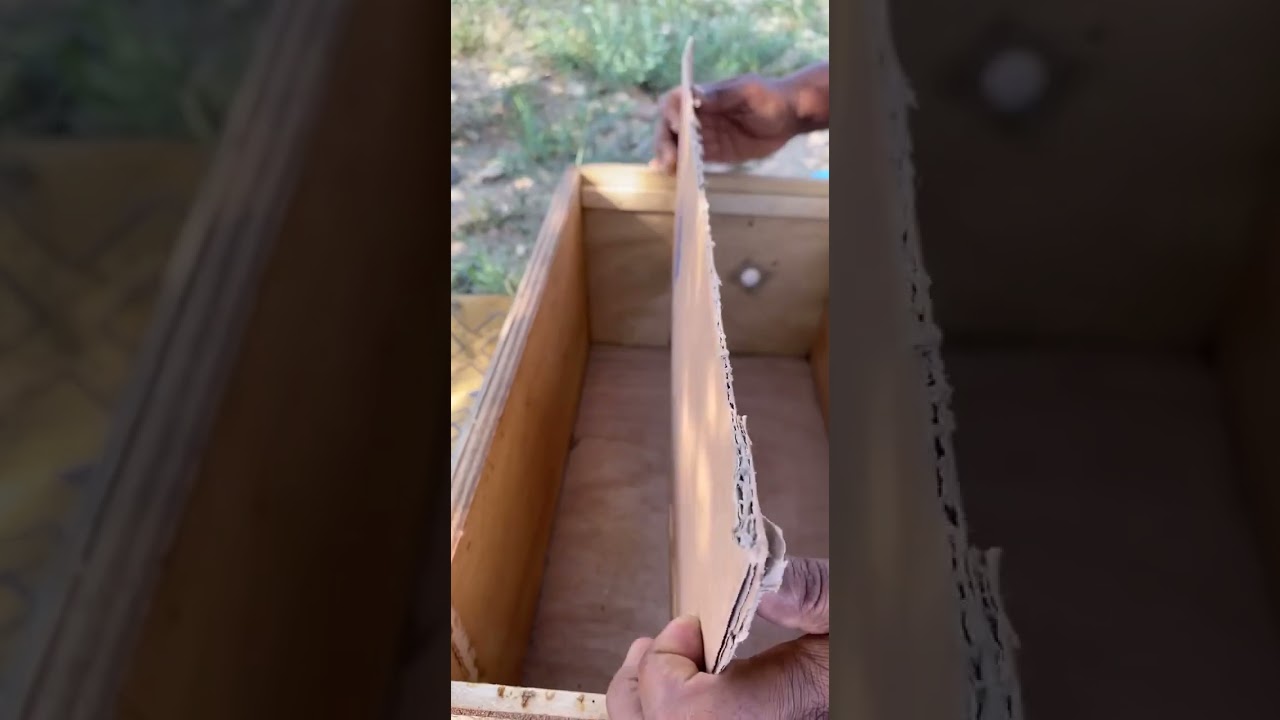 تقسيم النحل مكاثره النحل بكل يسر وسهوله