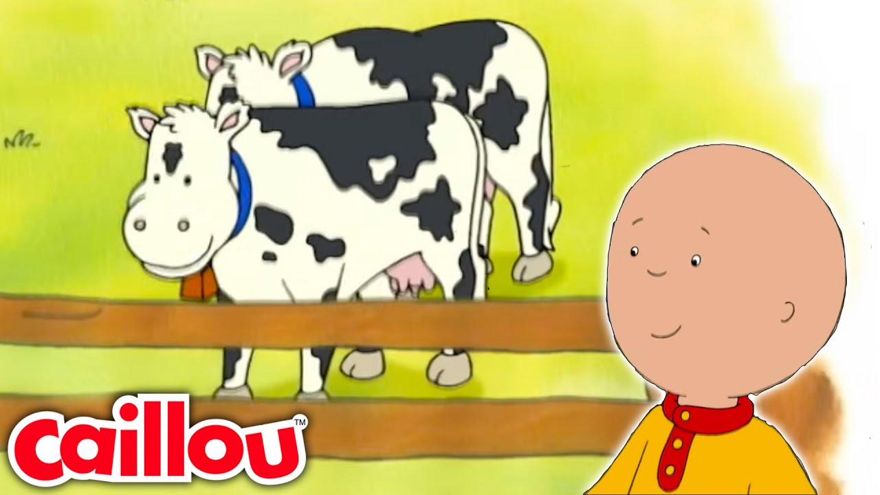 Who's Mooing? | Caillou - WildBrain | Learning for Children