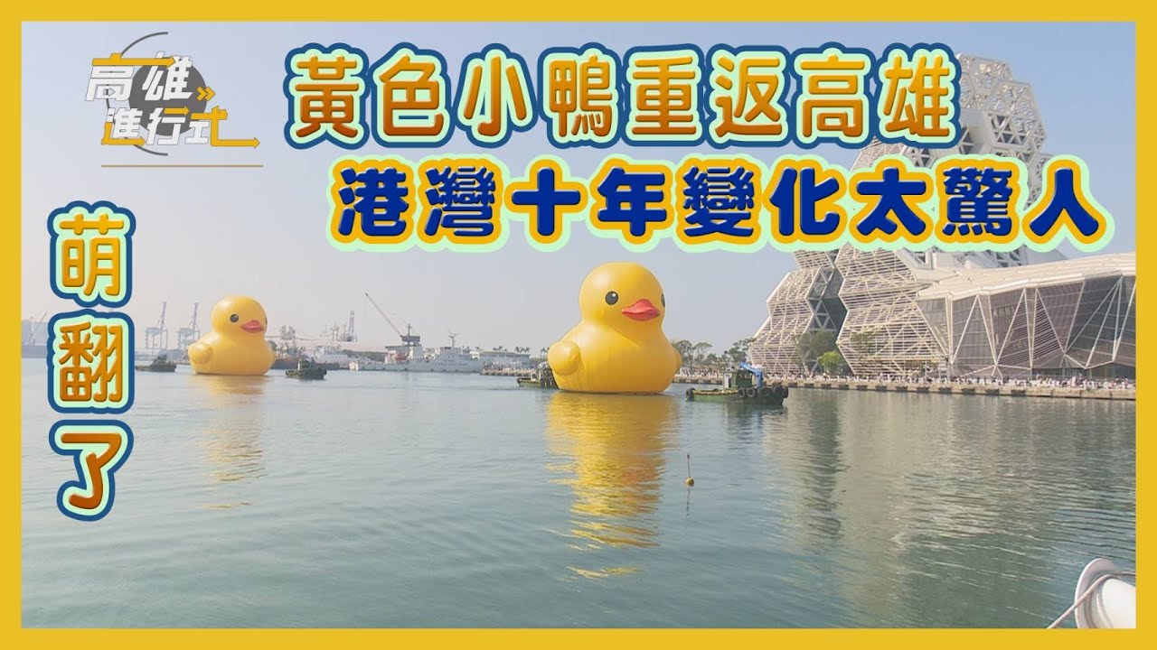 萌翻了 黃色小鴨重返高雄 港灣十年變化太驚人 ◆高雄進行式2024