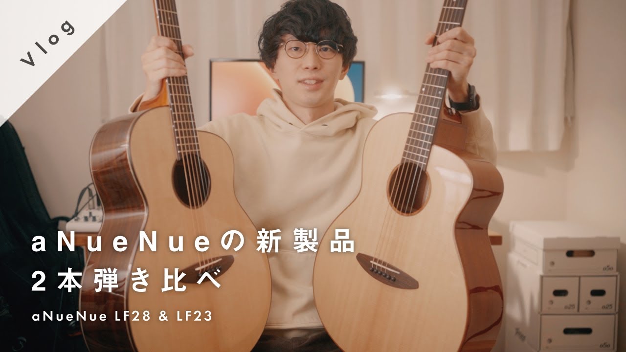 【コスパ最強】aNueNue LF28とLF23を弾き比べてみる