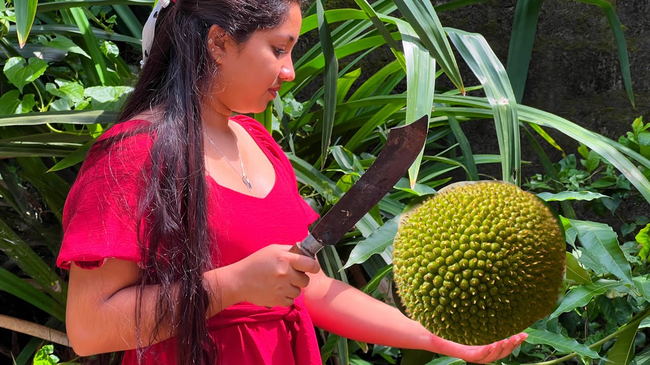 A poloskari as in Sri Lanka 