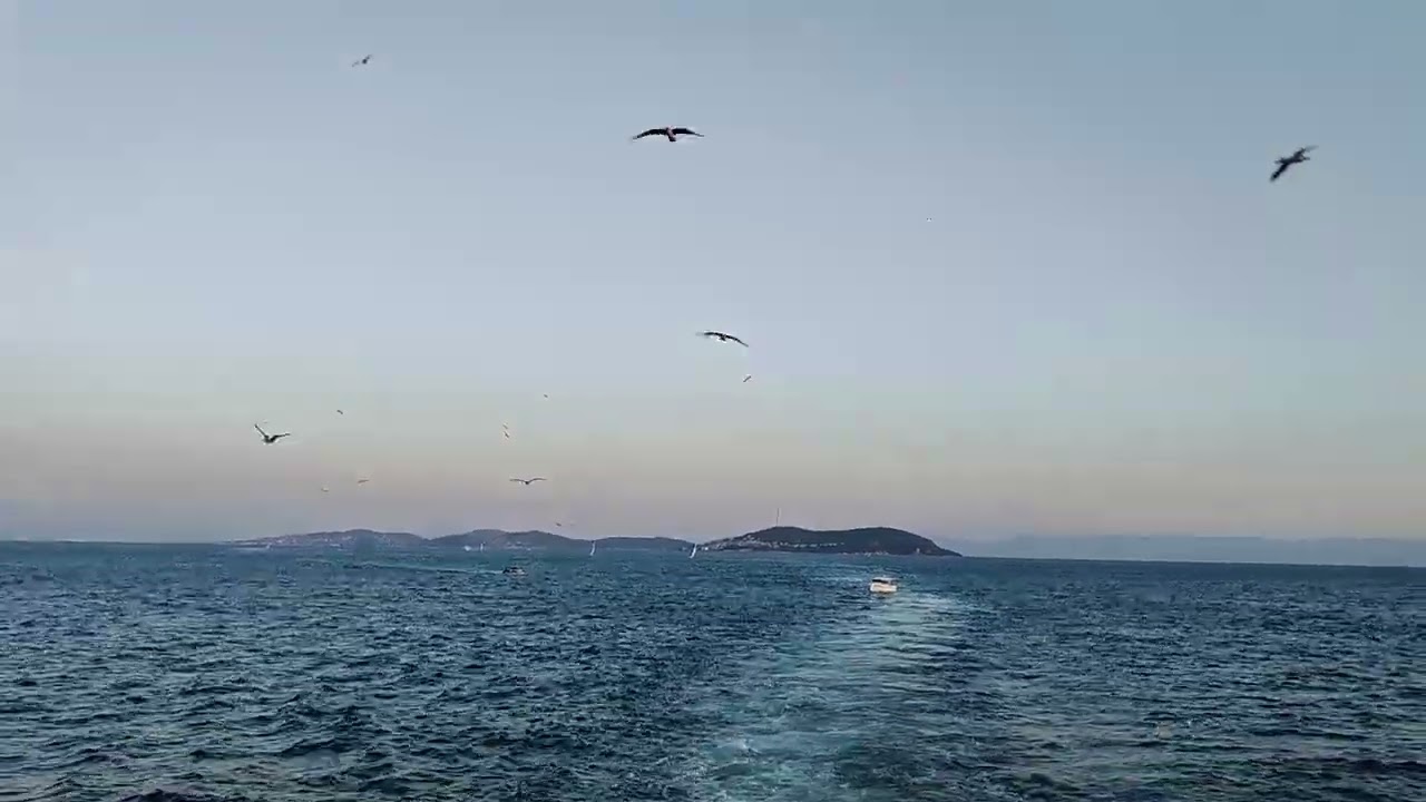 Adalar Kadıköy seferinden enstantaneler 