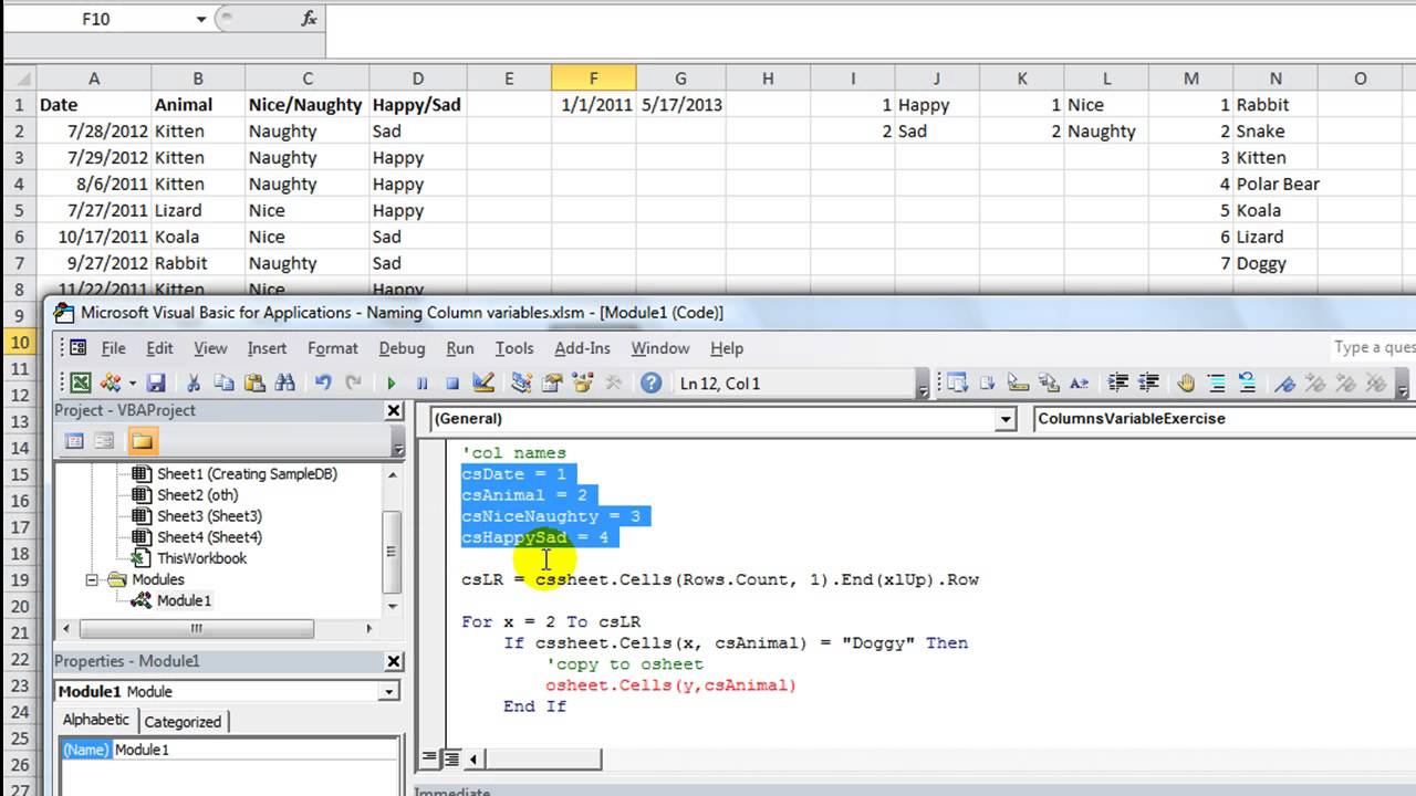Excel VBA Basics #33 Importance of Naming Column Variables for Reports