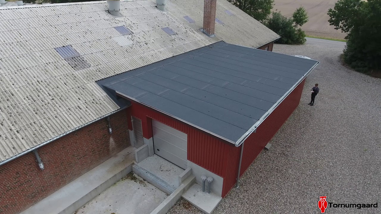 Ny slagtesvine udlevering