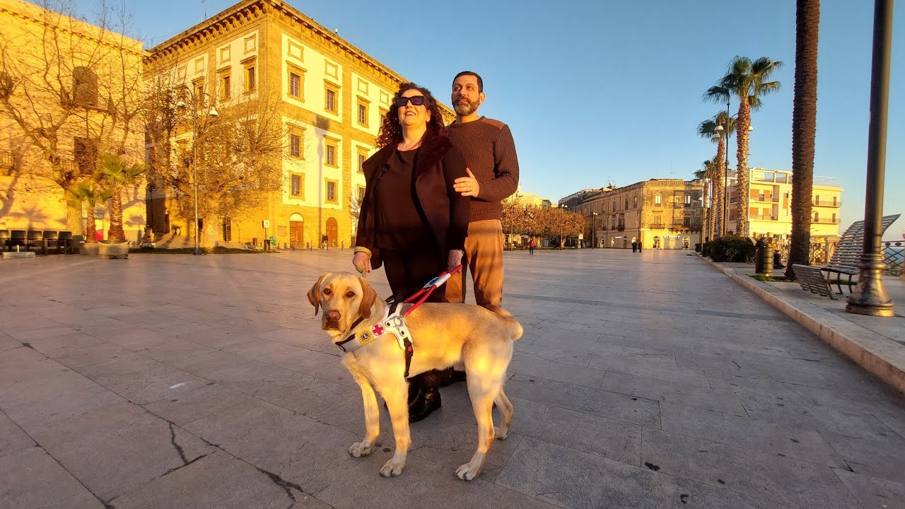 Un cane guida cambia la vita a una donna