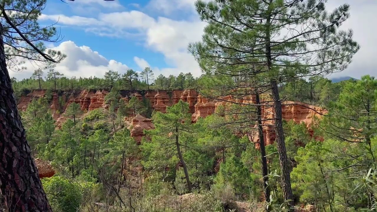 Talayuelas Canyon · Pine Forest & Red Sandstone Walls · 15-Minute 4K Nature Video