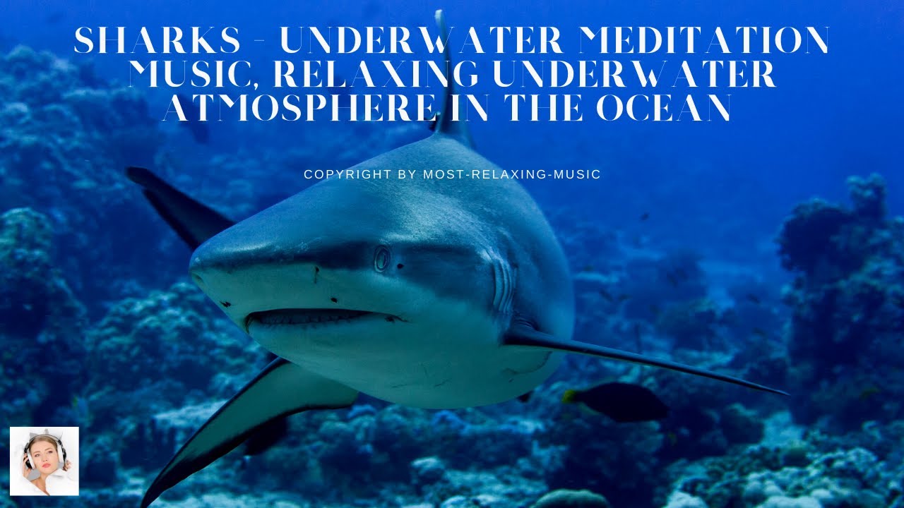 Sharks - Underwater Meditation Music, relaxing underwater atmosphere in the ocean