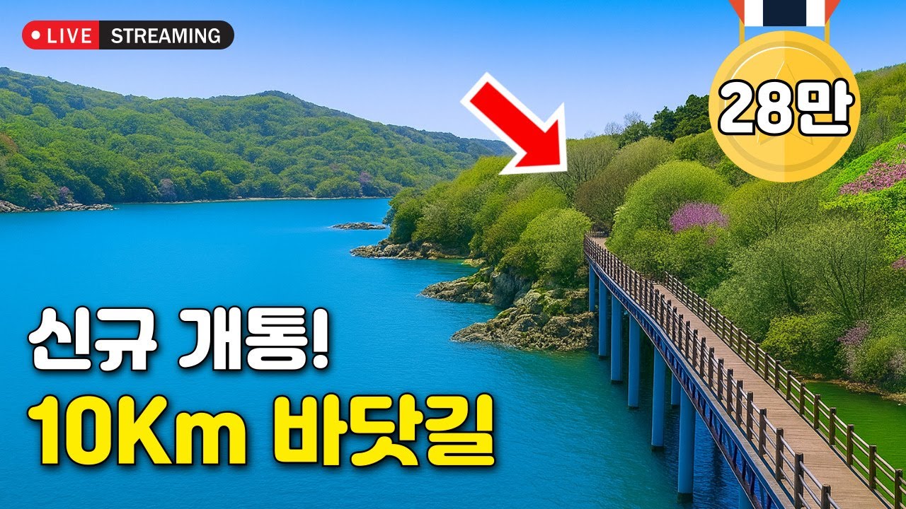 [라이브소통] 🚢 인천항에서 50분! 당일치기 여행으로 추천하는 바다가 제일 깨끗한 서해바다 10km 트레킹 코스 l 대중교통 당일치기 트레킹 여행