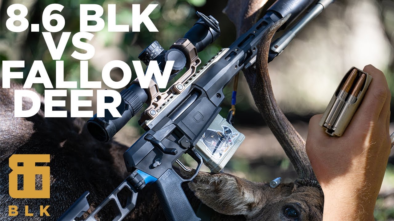 Q  |  Hunting South Africa  |  Subsonic 8.6 BLK vs Fallow Deer