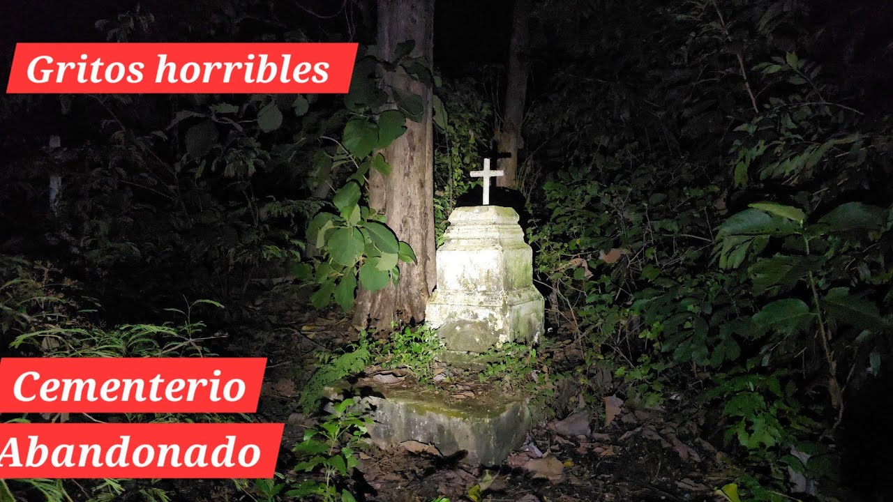 GRITOS ATERRADORES EN UN CEMENTERIO ABANDONADO, Pero podría haber sido un ave Nocturna 