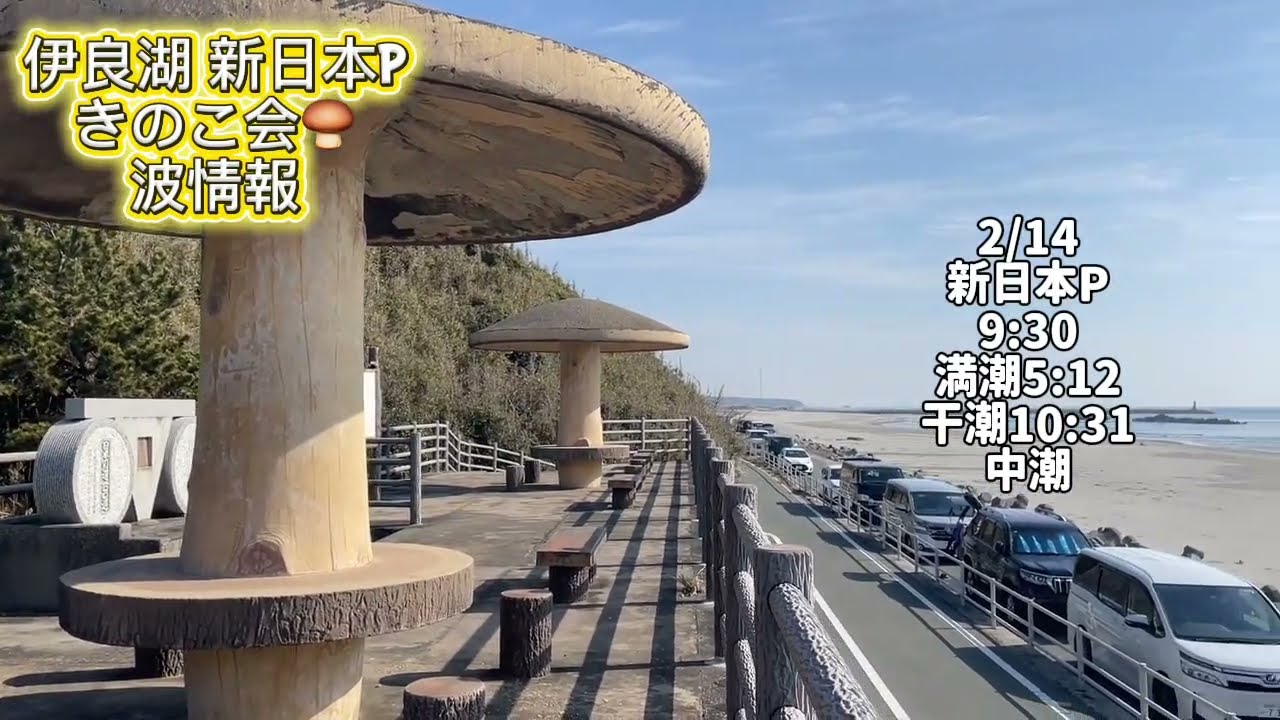 2/14 9:30新日本P【伊良湖波情報】2026年