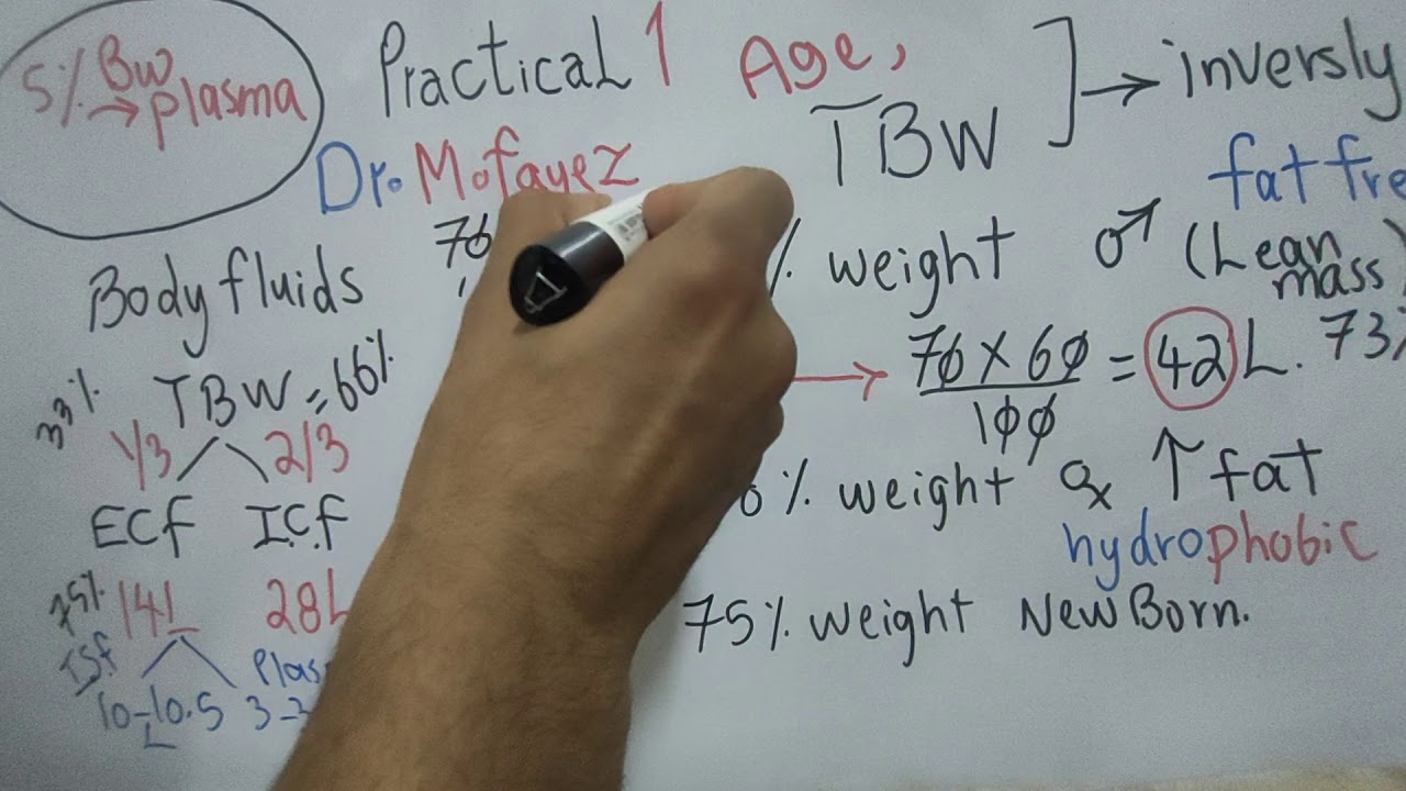 Practical 1 (Body Fluids) First year Dr Mohamed Fayez