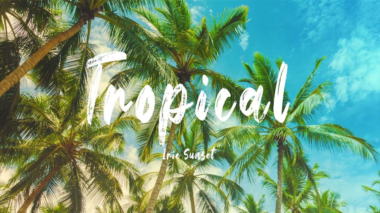 [Free For Profit] Reggaeton Type Beat 