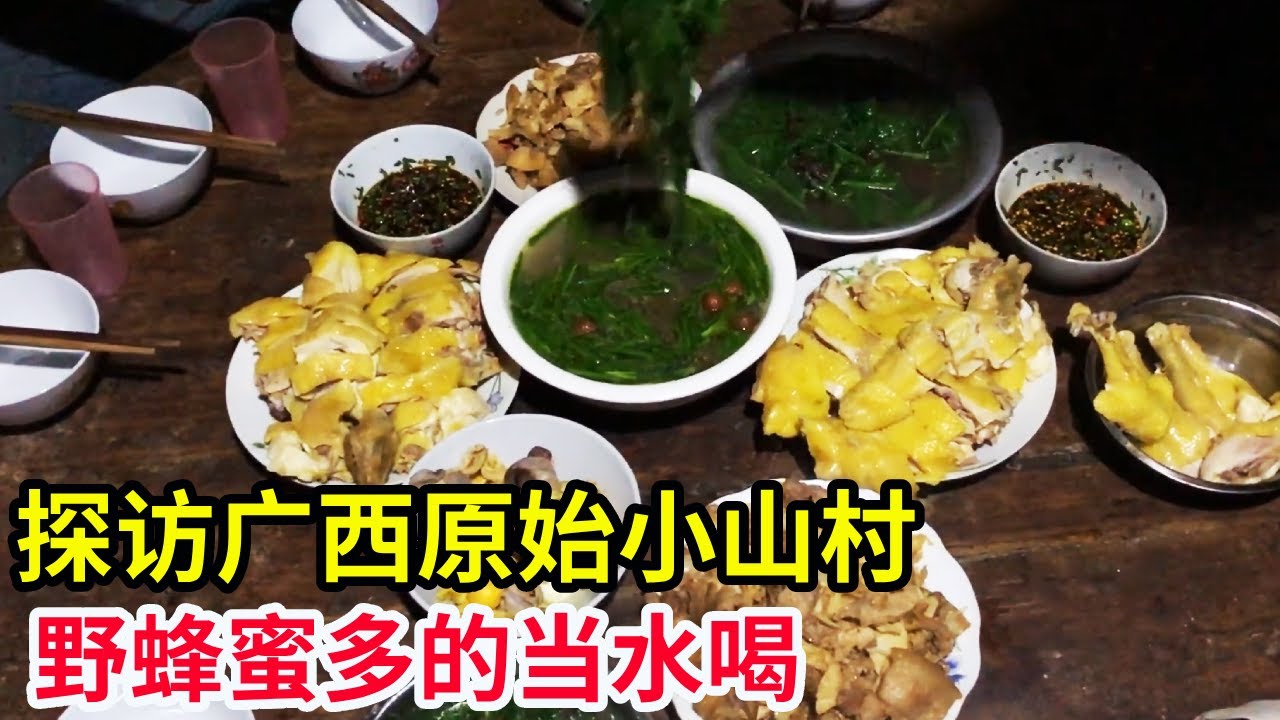 探访广西原始小山村，吃野菜做土鸡，野蜂蜜多的当水喝【山农乐哥】