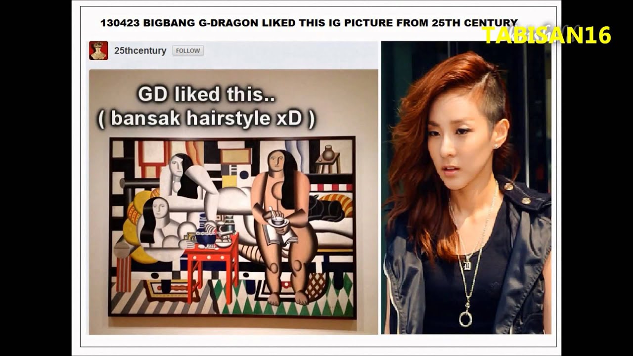 DARAGON INVESTIGATION 2013