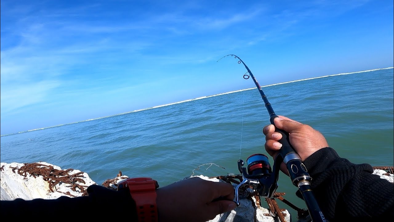 Ang Laking Grouper (Lapu Lapu) nabingwit sa BFAR DAGUPAN CITY