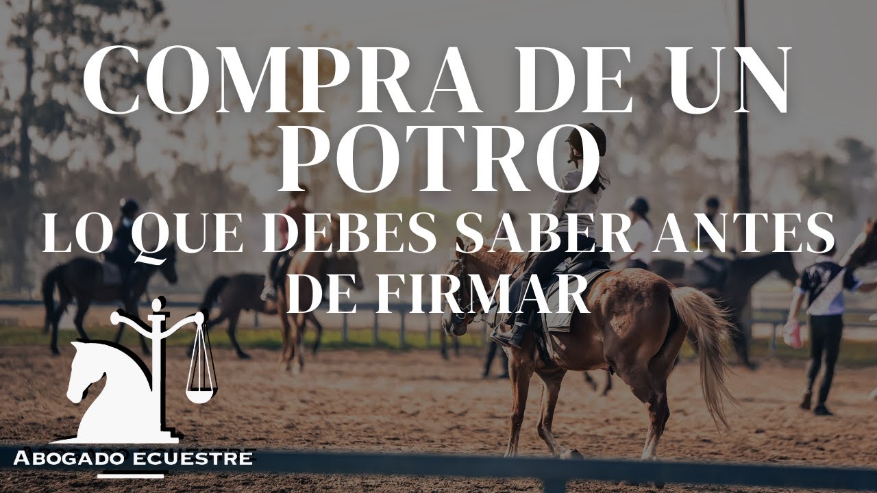 Contrato de Reserva para la Compra de un Potro: Lo Que Debes Saber Antes de Firmar  🐴⚖️