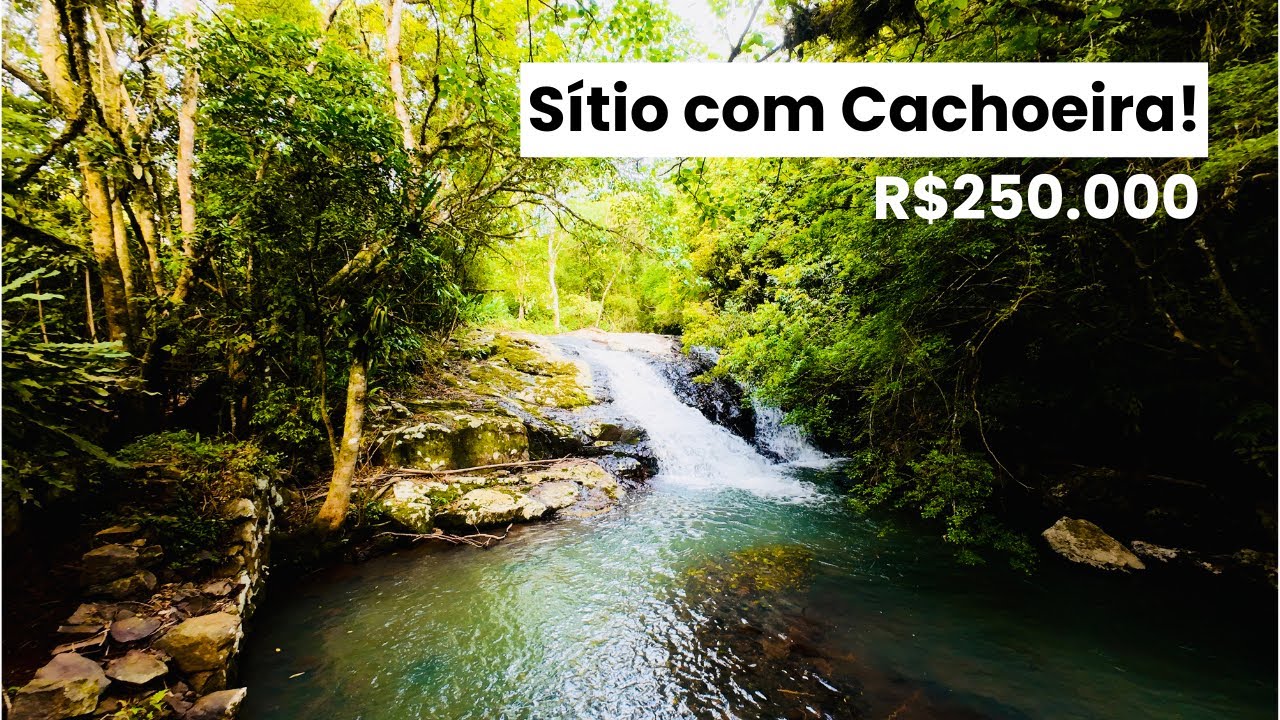 🌲 Sítio de 2 hectares em São Francisco de Paula — Natureza, água e tranquilidade!