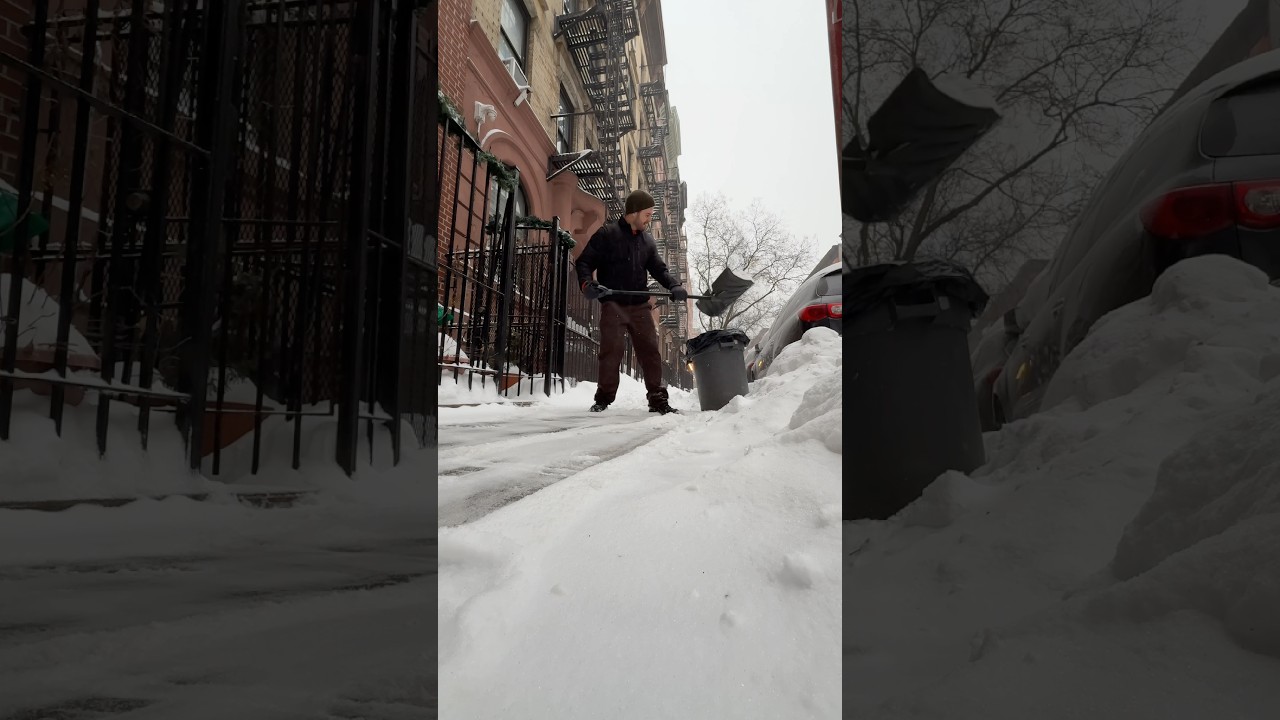 Why do garbage bags pile up after a snowstorm in NYC?
