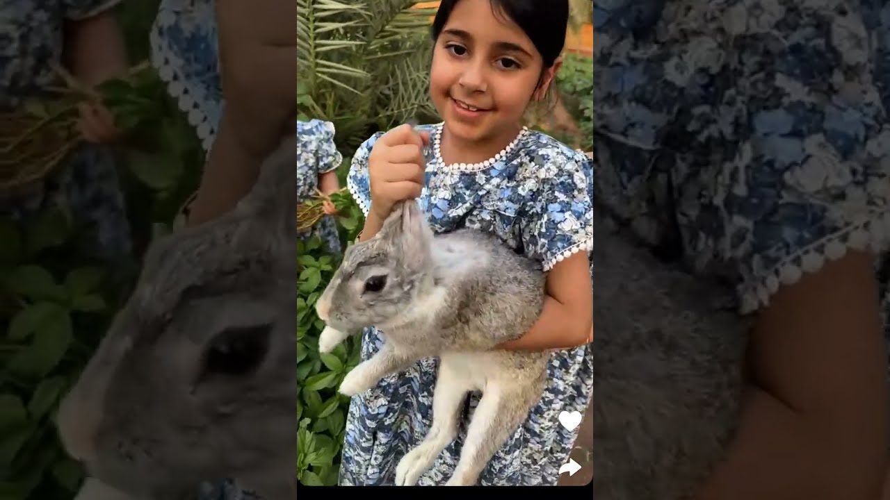 الأرنب عطها 😳😂ملوكة سوت ملوخية والرز🌿🍀👏