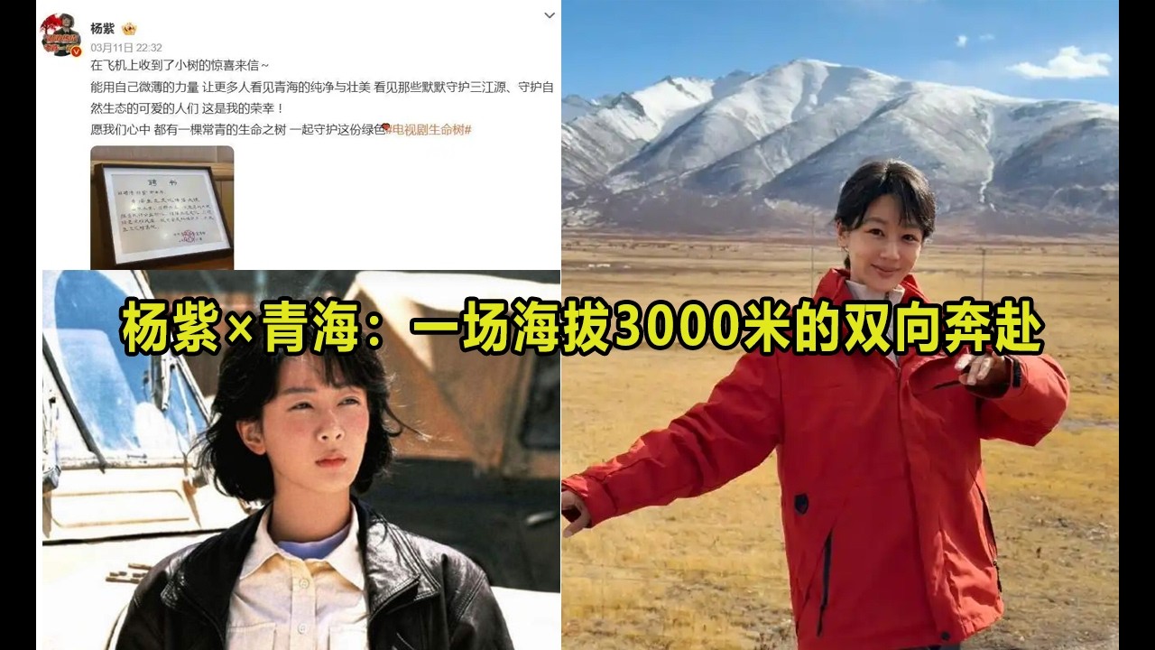 杨紫新身份引爆热搜！从《生命树》到青海生态大使，她如何在万米高空接下一份“常青”的使命？