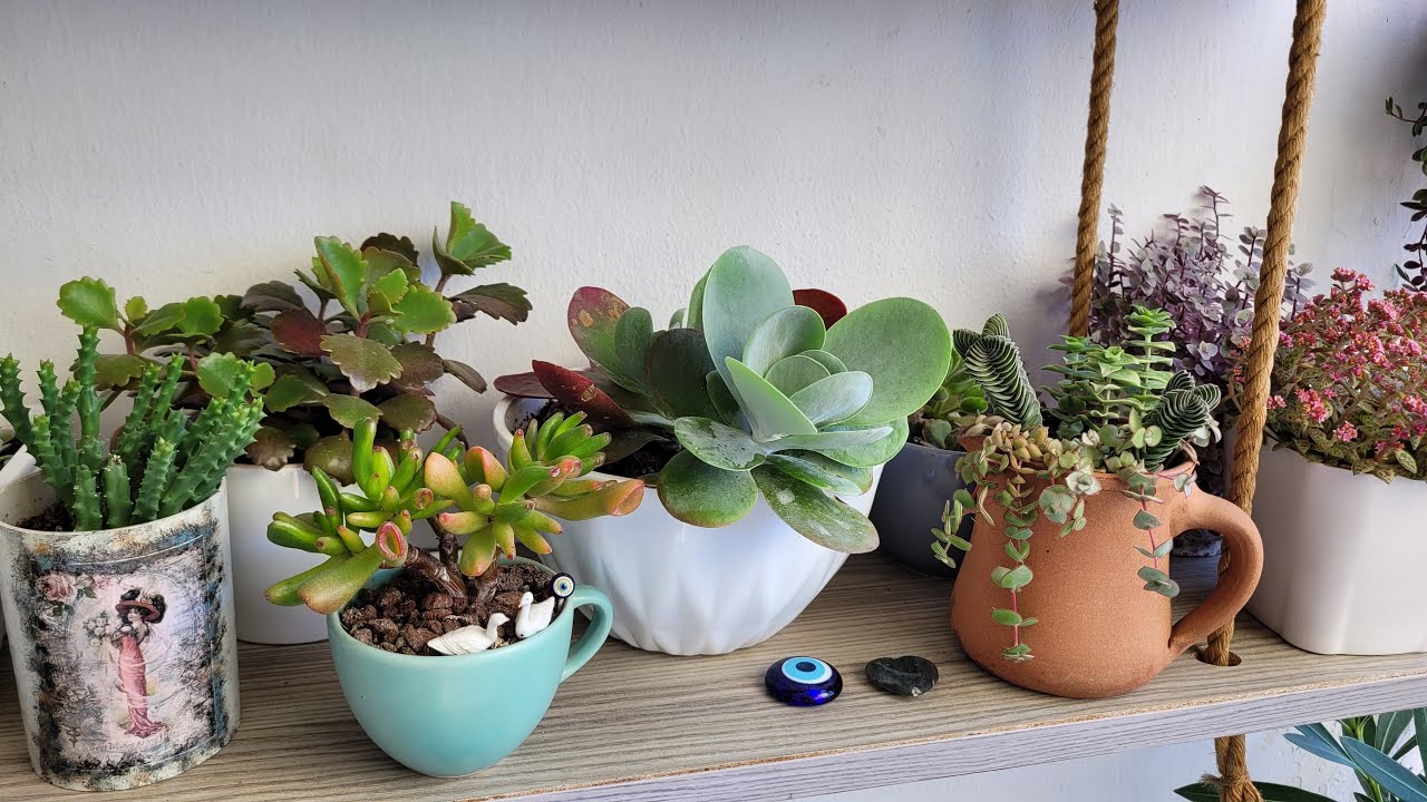 Kısa Bir Balkon Turu