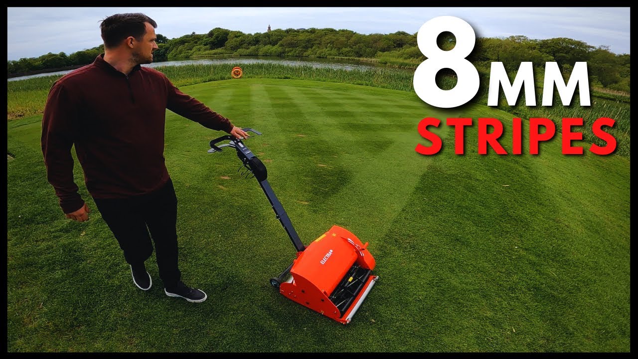 Amazing 8mm Lawn Stripes - Golf Tee Cut with Swardman