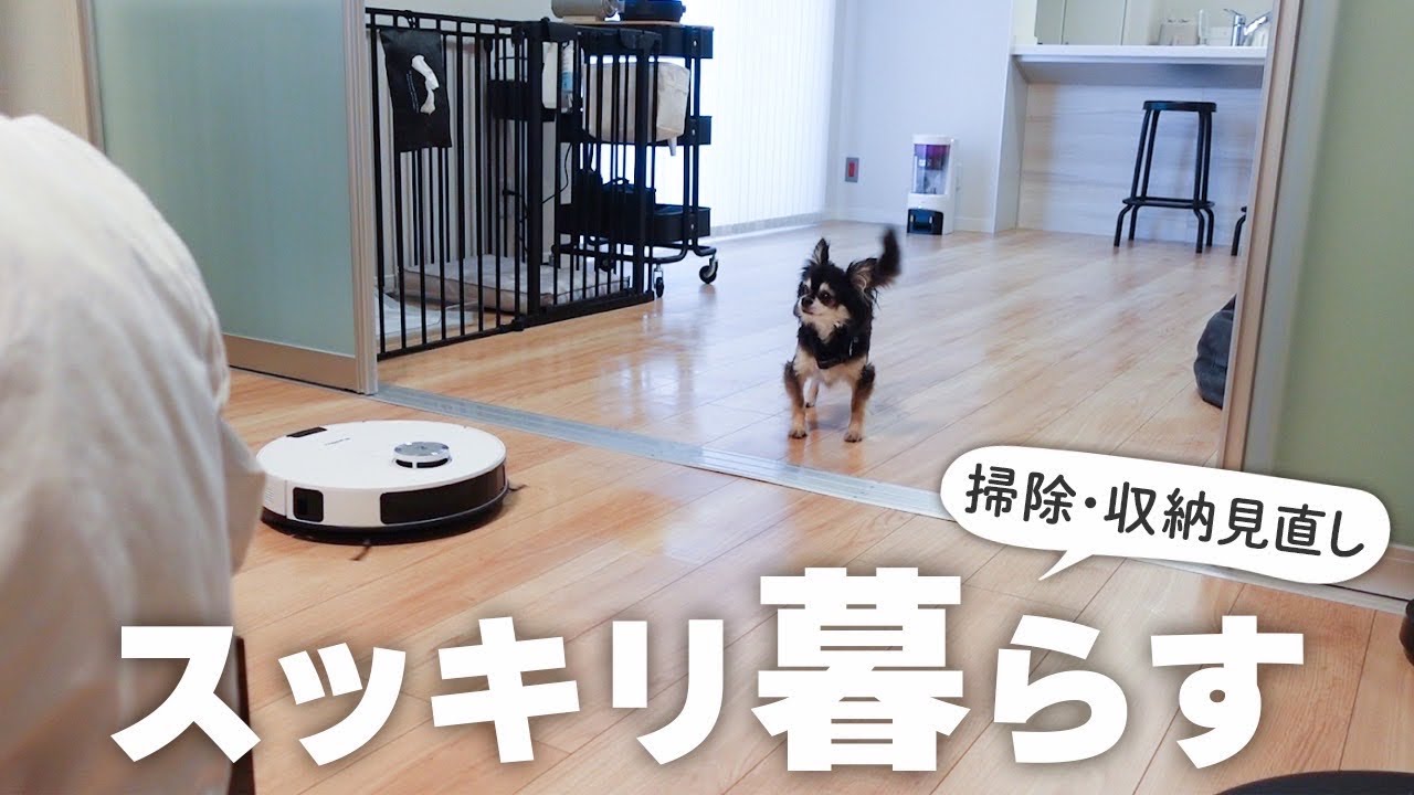 【暮らし】面倒な事は嫌い！楽して楽しくスッキリ暮らす✨掃除収納見直しするとある日