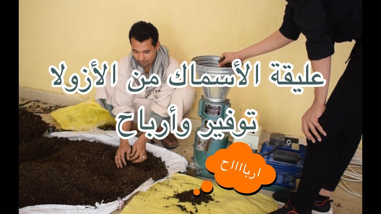 عليقة الأسماك من الأزولا