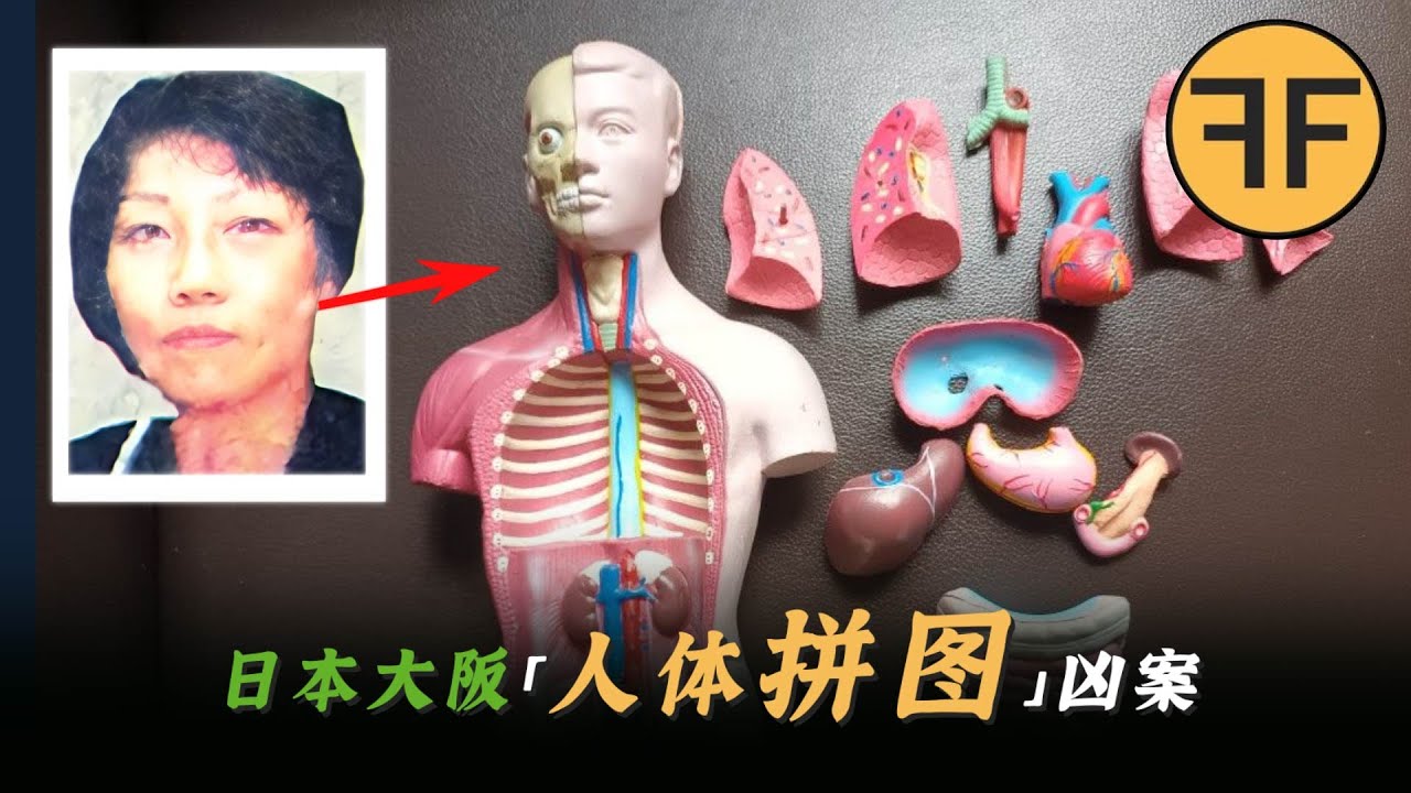 11年日本恐怖案件，3罐「人骨拼圖」驚現大阪公園，警方拼完多了一個人手？