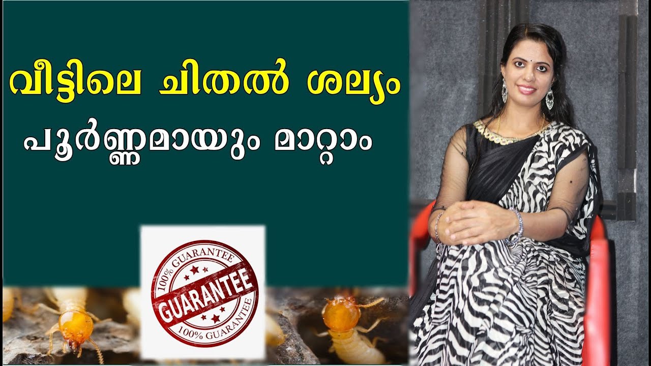 ചിതൽ എന്ന വലിയ ഒരു പ്രശ്നംനമുക്ക് ഈസിയായി മാറ്റാം ! CHITHAL SHALYAM ! HOUSE CHITHAL !termite