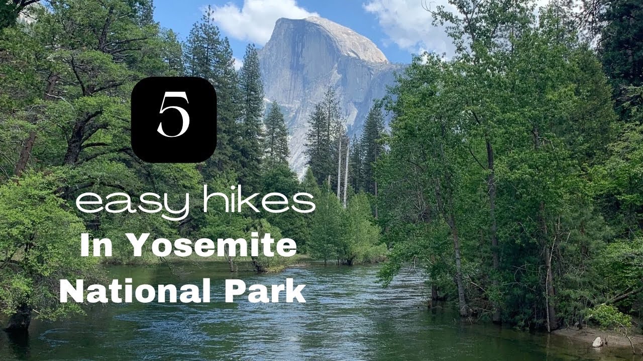 5 Easy Yosemite Hikes Anyone Can Do