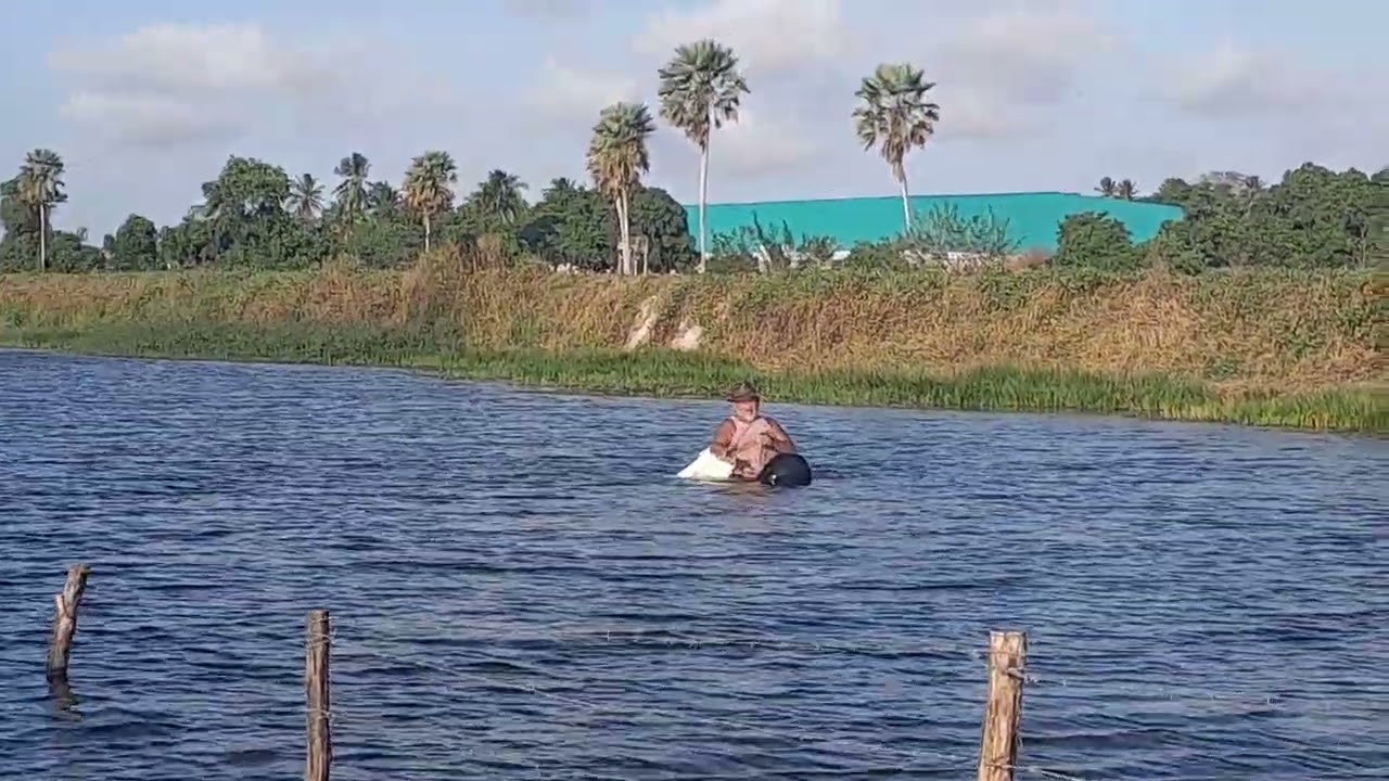 Jl pescado  no açude com 18 jacare 