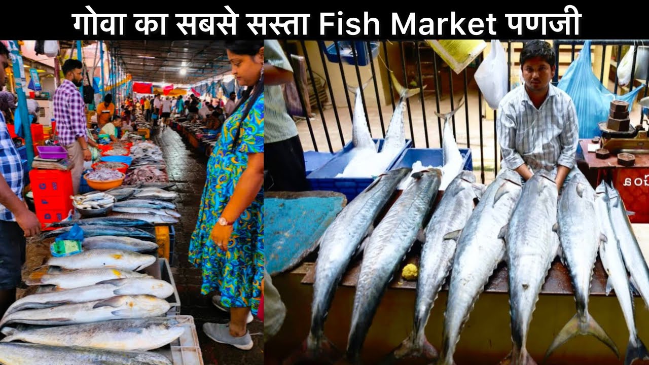 Panjim fish market Goa | पणजी मछली बाज़ार, गोवा | GOA
