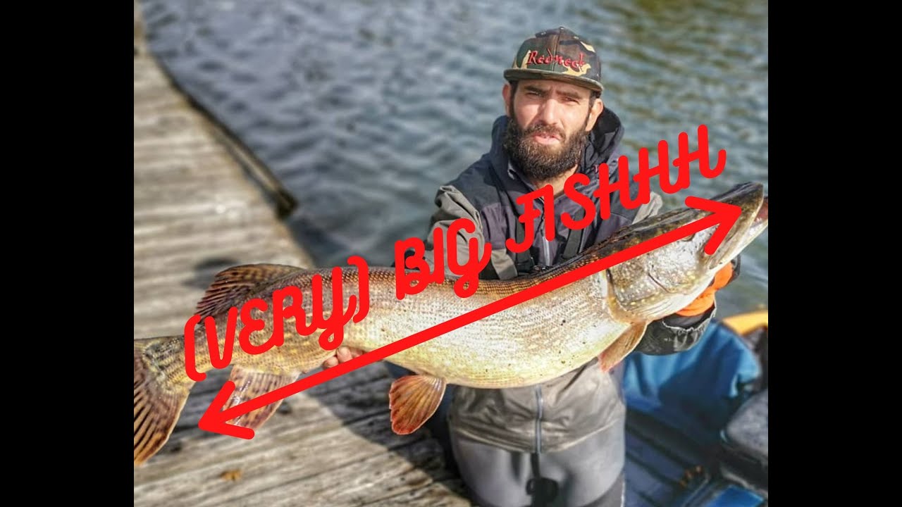 Une session pêche au BROCHET, en FLOAT TUBE ,un moment magique (BIGGG BROCHET!!)