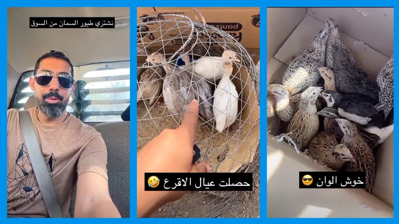 عبدالرحيم في سوق الطيور يشتري طيور سمان جديدة 😍 \ سناب عبدالرحيم Bingoo