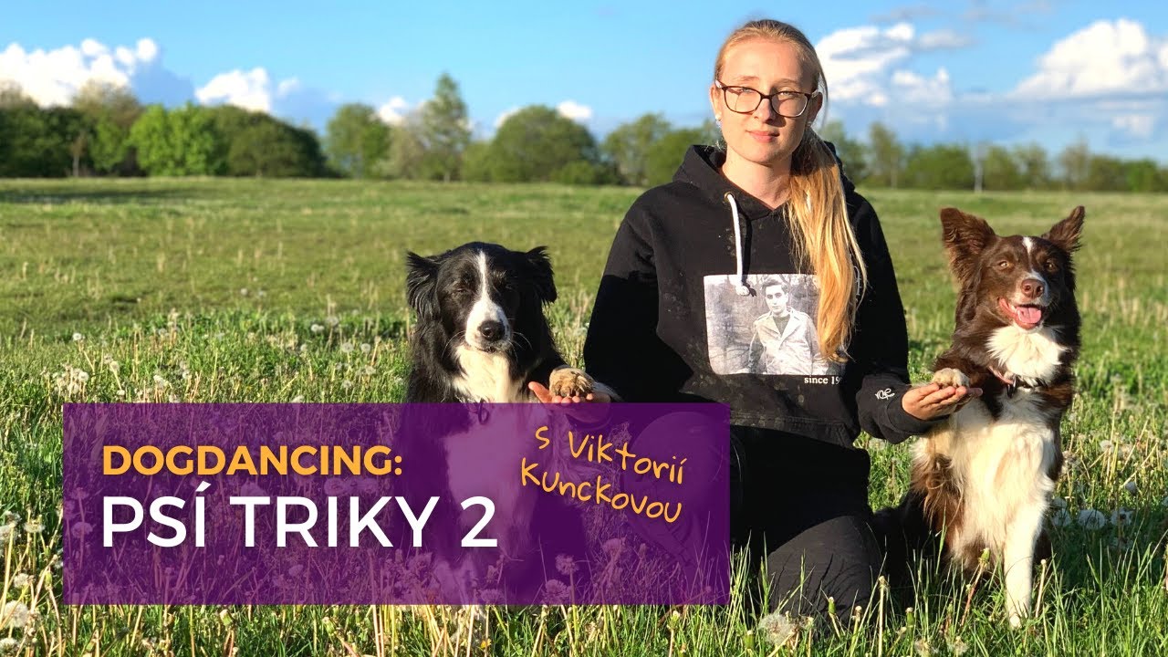 Dogdancing aneb 10 psích triků pro každého pejska