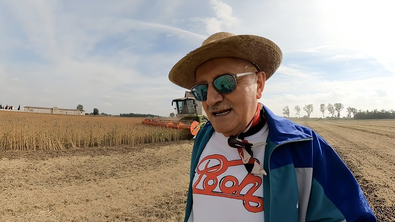 #Trebbiatura #Soia #Campagna Cremonese #Solarolo Rainerio #agriculture #Italy