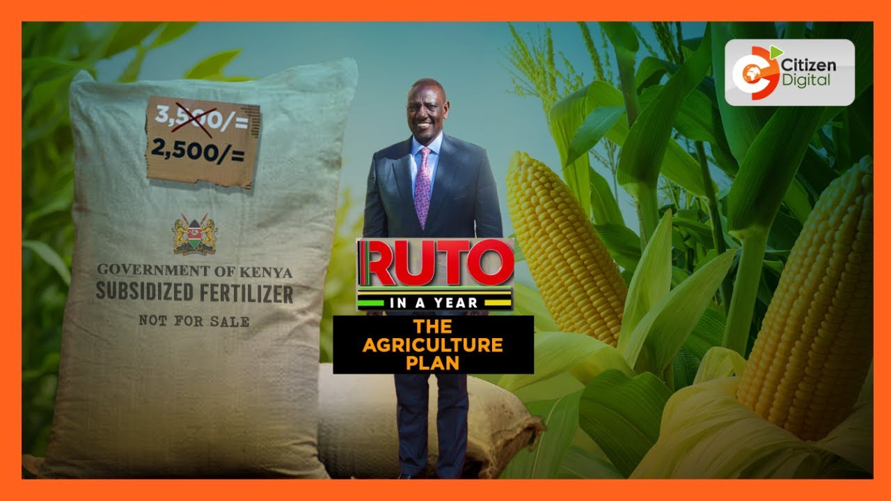 | RUTO IN A YEAR | The agriculture plan