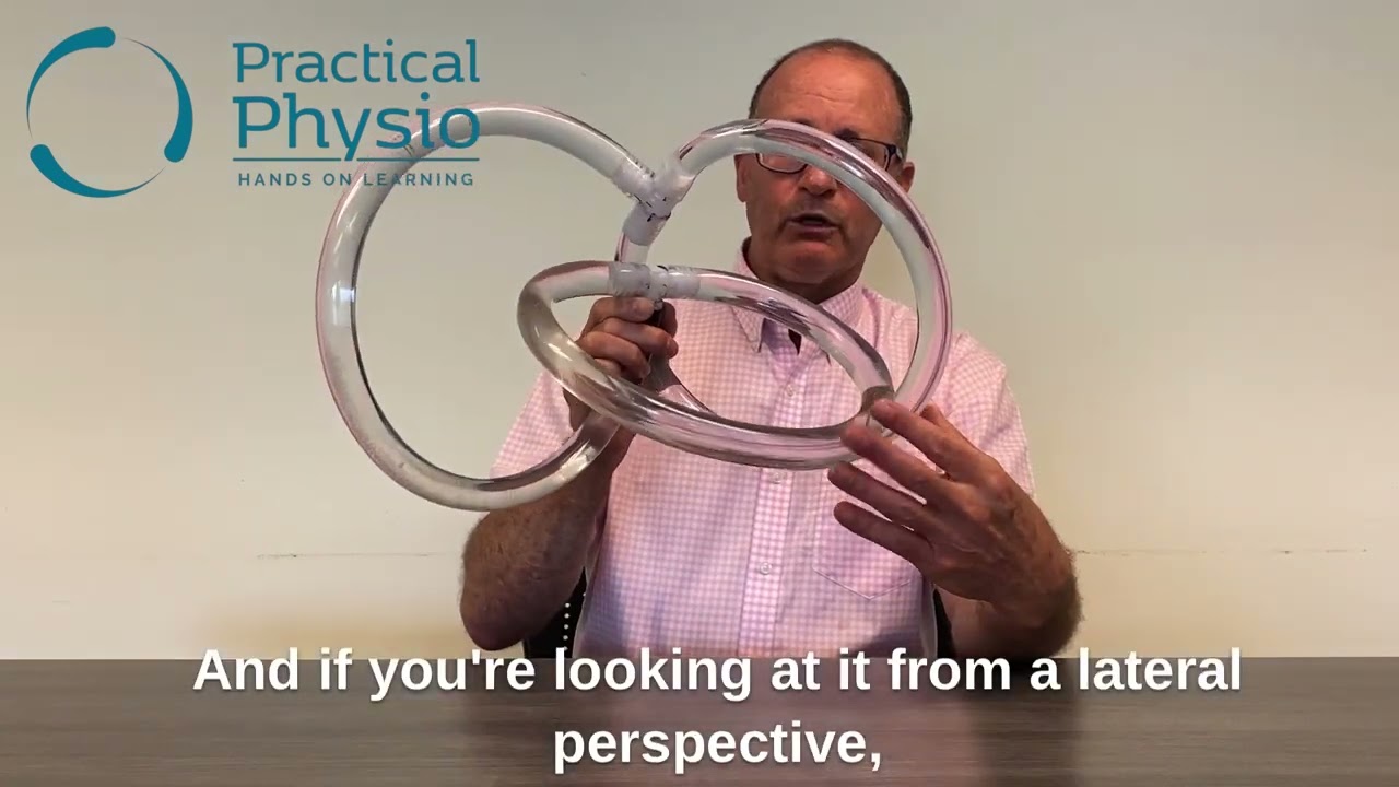 Anatomy and Orientation of the Semicircular Canals