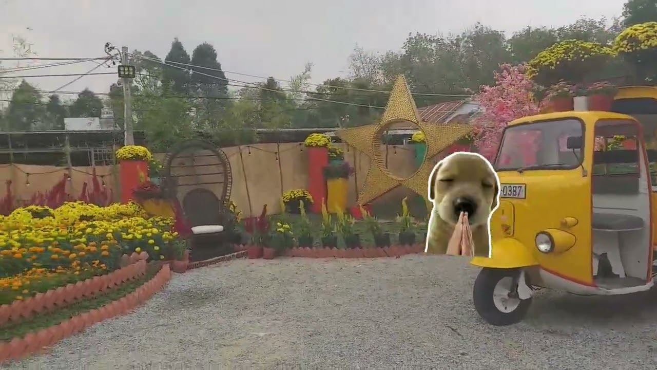 Ns vlog vậy chứ hok có dài lắm ai muốn xem ảnh tôi chụp hình tết qua fb của tôi nhá🥰