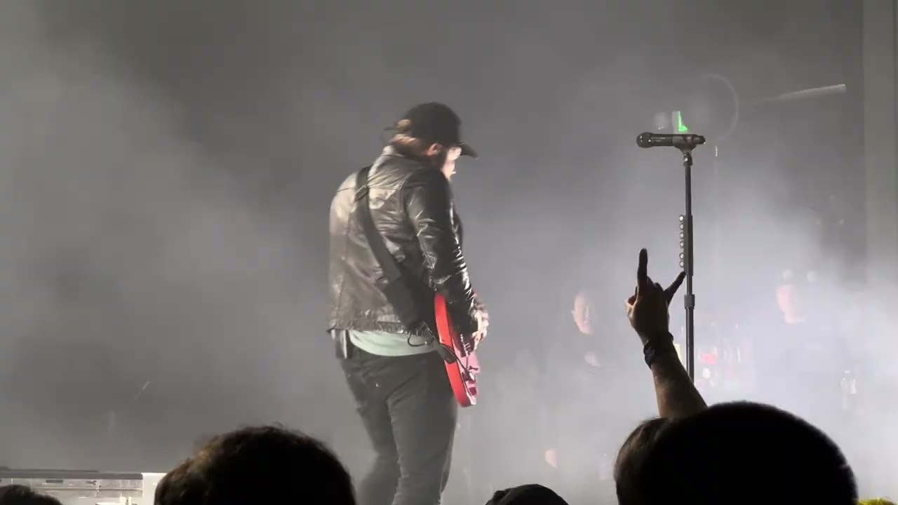 Fall Out Boy - Immortals
