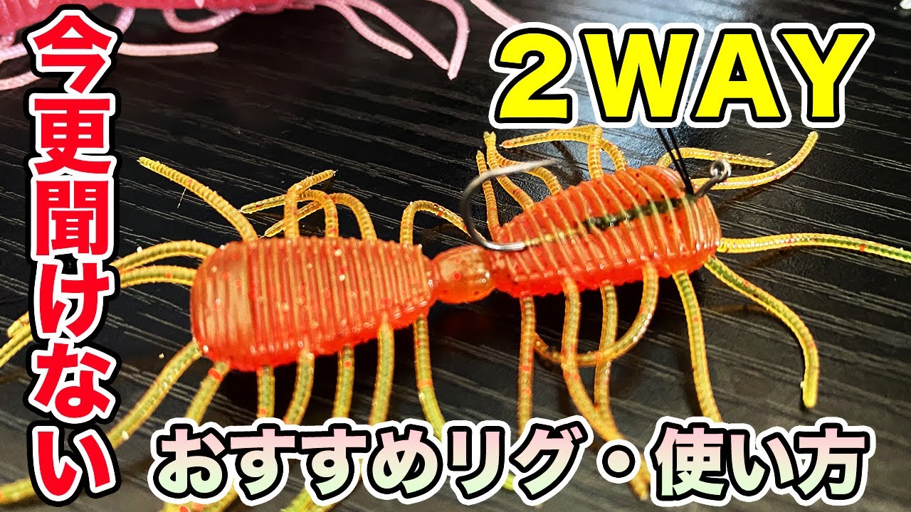 【バス釣り】2wayの使い方やおすすめリグ!!アクションや動かし方のコツについて解説してみた【FISHROLLER 3inch/4inch 】【FINESTICK3.5inch】【レイドジャパン】