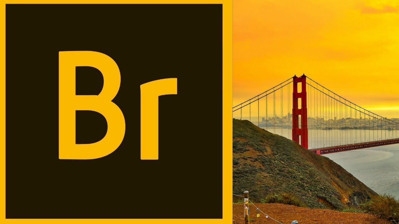 Adobe Bridge CC 2019 СКАЧАТЬ + УСТАНОВКА