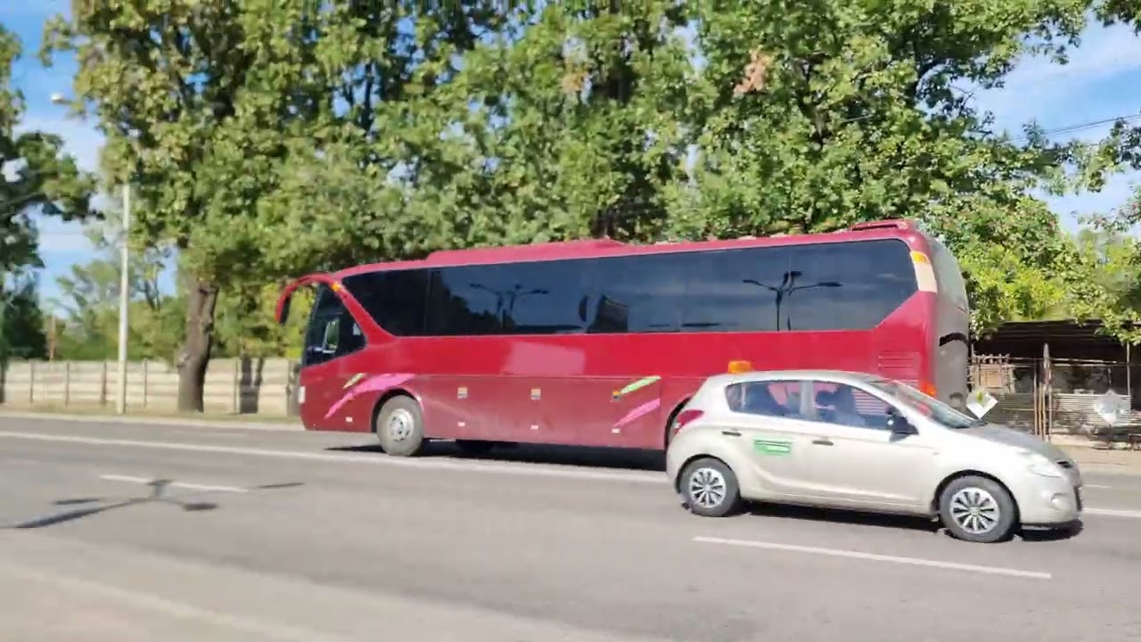 Autobuze Oradea 